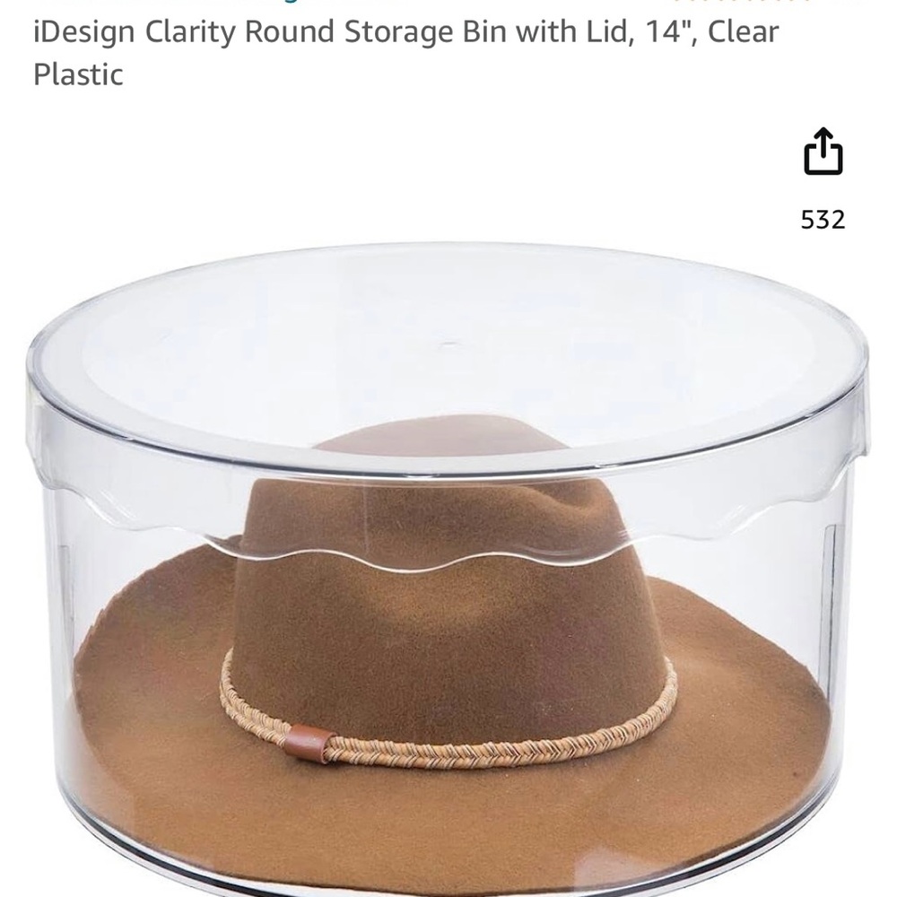 IN SEARCH OF iDesign 14” clear plastic round hat boxes with lid